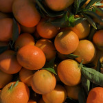 comprar mandarinas online directamente del campo. Comprar directa del agricultor. Los mejores cítricos de de Castellón y Valencia. DOP Nuleta. del campo a casa directo a tu mesa limon limones naranja naranjas comprar mandarinas online directamente del campo. Comprar directa del agricultor. Los mejores cítricos de de Castellón y Valencia. DOP Nuleta. del campo a casa directo a tu mesa limon limones naranja naranjas